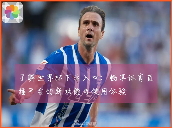 了解世界杯下注入口：畅享体育直播平台的新功能与使用体验