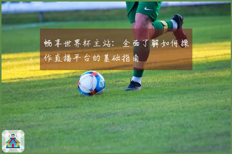畅享世界杯主站：全面了解如何操作直播平台的基础指南
