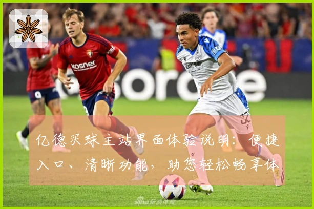 亿德买球主站界面体验说明：便捷入口、清晰功能，助您轻松畅享体育直播