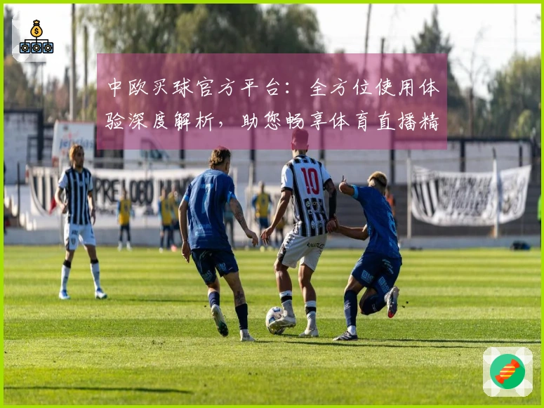 中欧买球官方平台：全方位使用体验深度解析，助您畅享体育直播精彩。