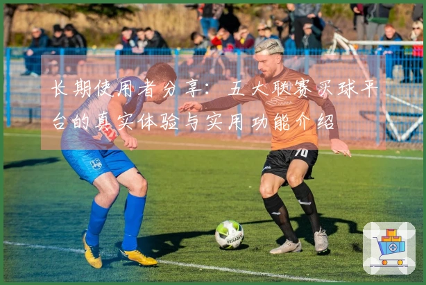长期使用者分享：五大联赛买球平台的真实体验与实用功能介绍