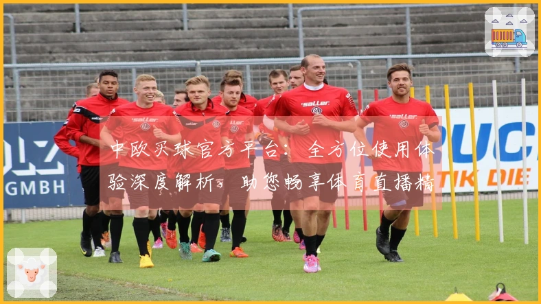 中欧买球官方平台：全方位使用体验深度解析，助您畅享体育直播精彩。