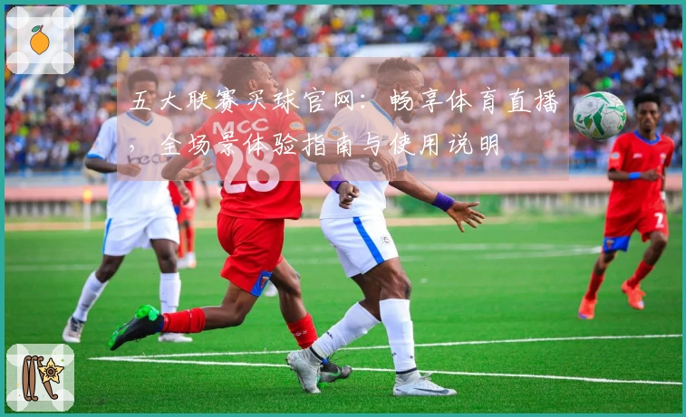 五大联赛买球官网：畅享体育直播，全场景体验指南与使用说明